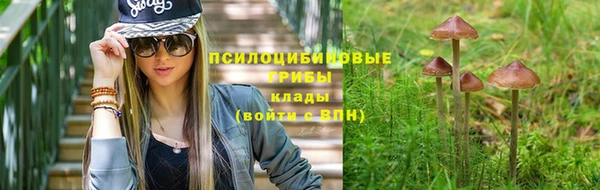 не бодяженный Ладушкин