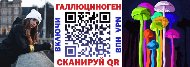 наркотики  Александровск-Сахалинский  Псилоцибиновые грибы Psilocybe 